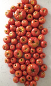 Garden Fresh Tomato Pasta Recipes