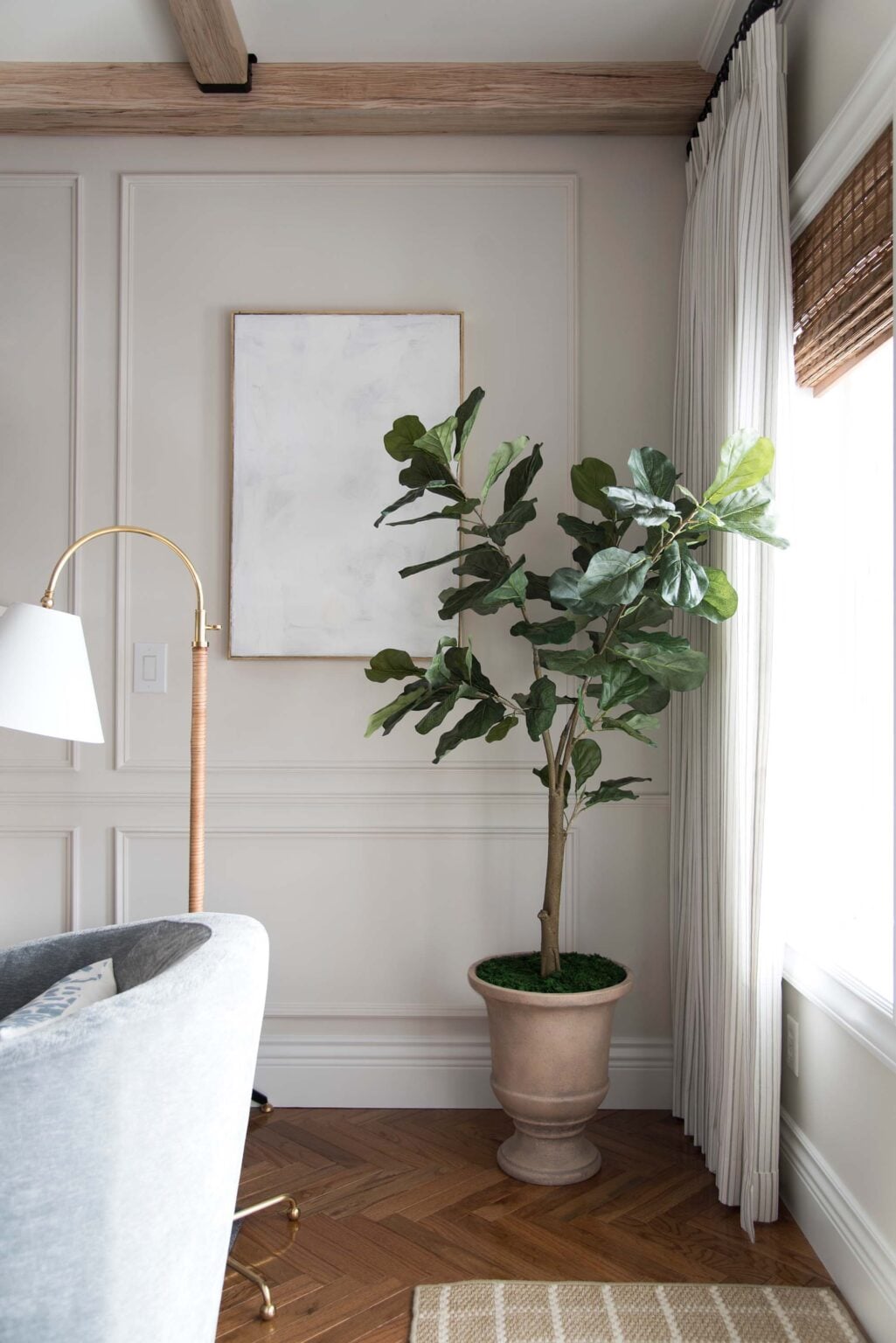 How To Repot A Fiddle Leaf Fig Tree (Step by Step Guide) - Room For Tuesday