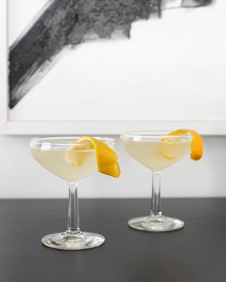 Lemon Gin Summer Cocktail