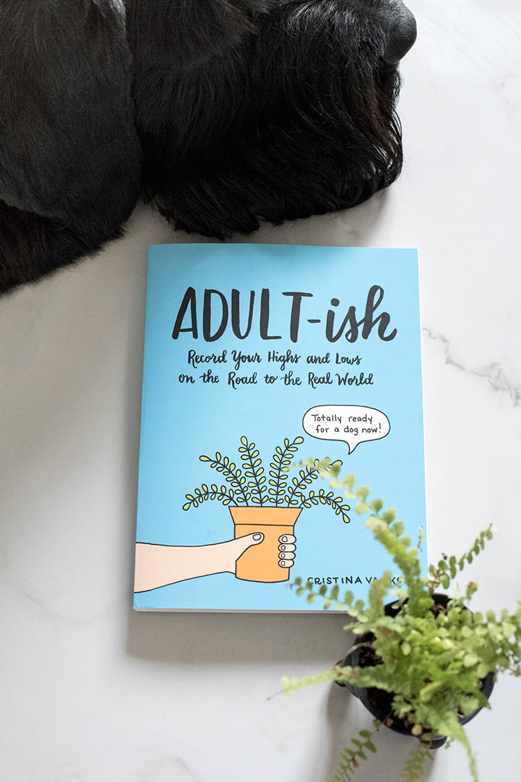 Adultish Book