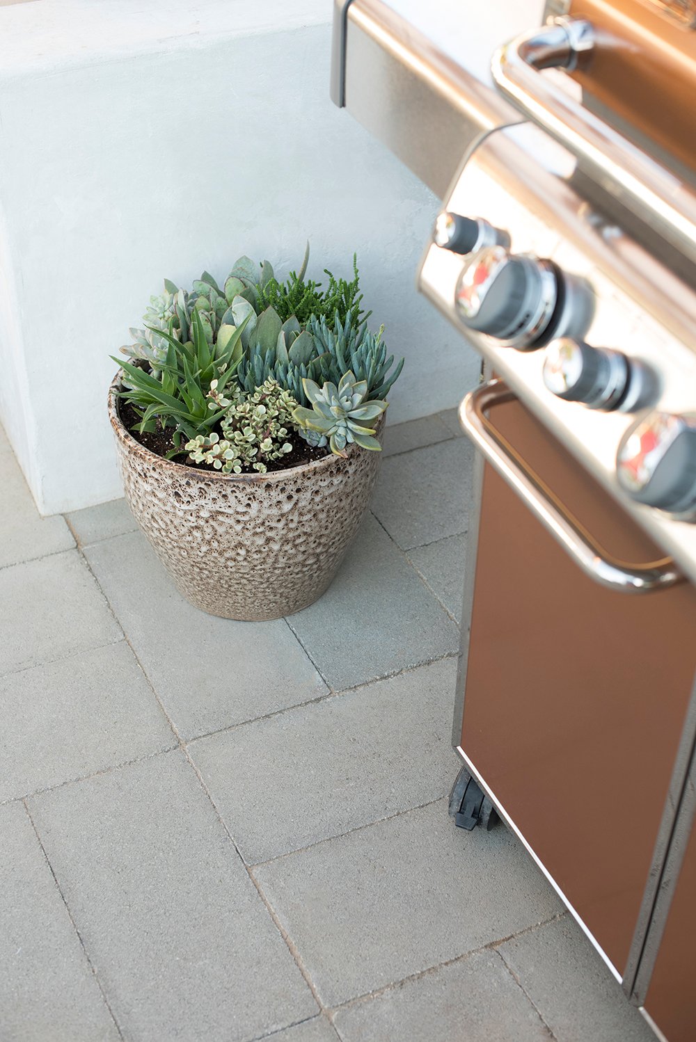 Grill and Succulents