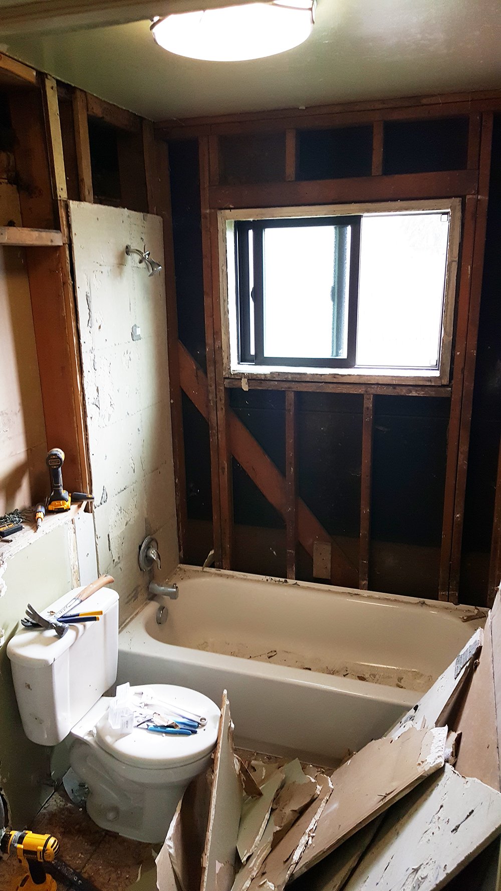 Drywall Removal