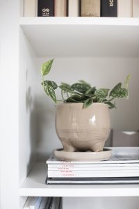 Amazon Finds : Planters for Spring