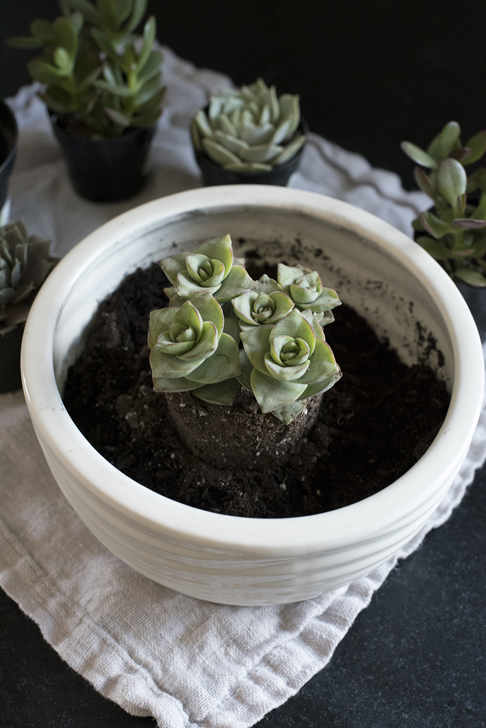 Repurposing a Candle Into A Succulent Planter - roomfortuesday.com