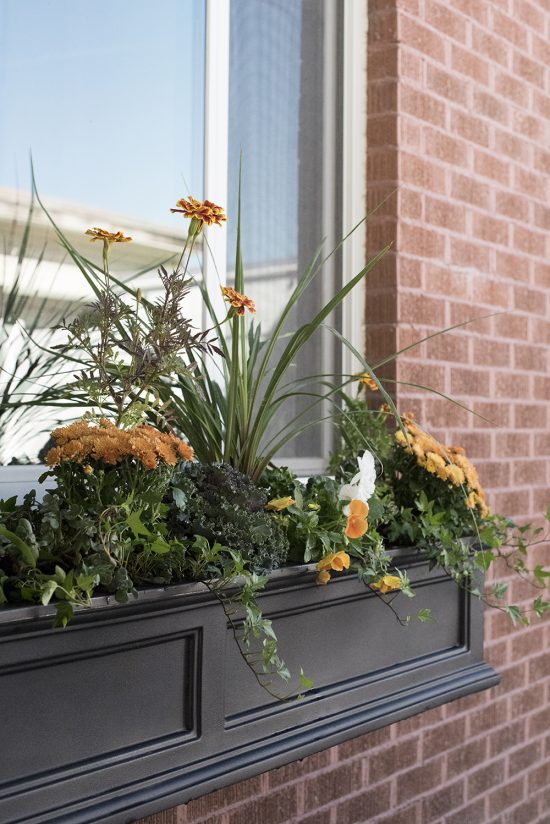 Fall Window Pot Fall Window Flower Planter Box - Room for Tuesday