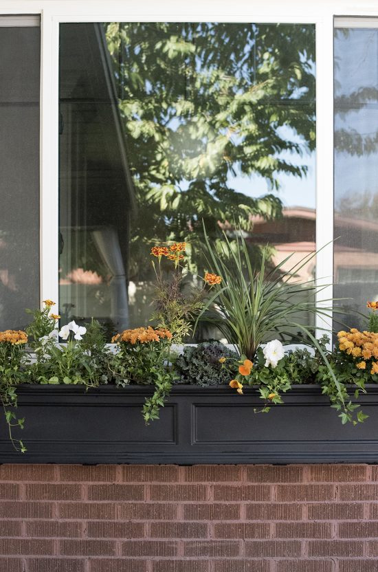 Fall Window Pot Fall Window Flower Planter Box - Room for Tuesday