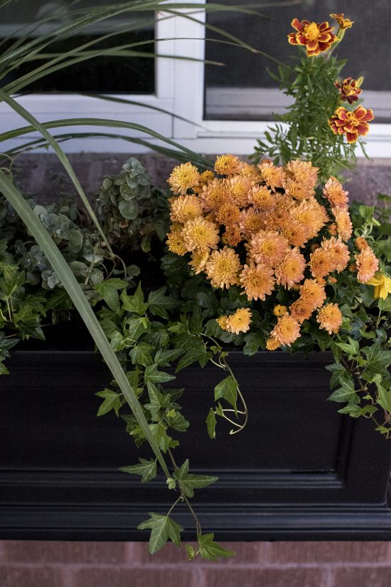 Fall Window Pot Fall Window Flower Planter Box - Room for Tuesday