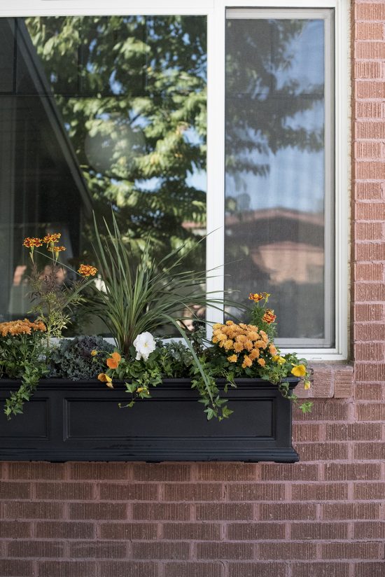 Window Box Mums Fall Window Flower Planter Box - Room for Tuesday