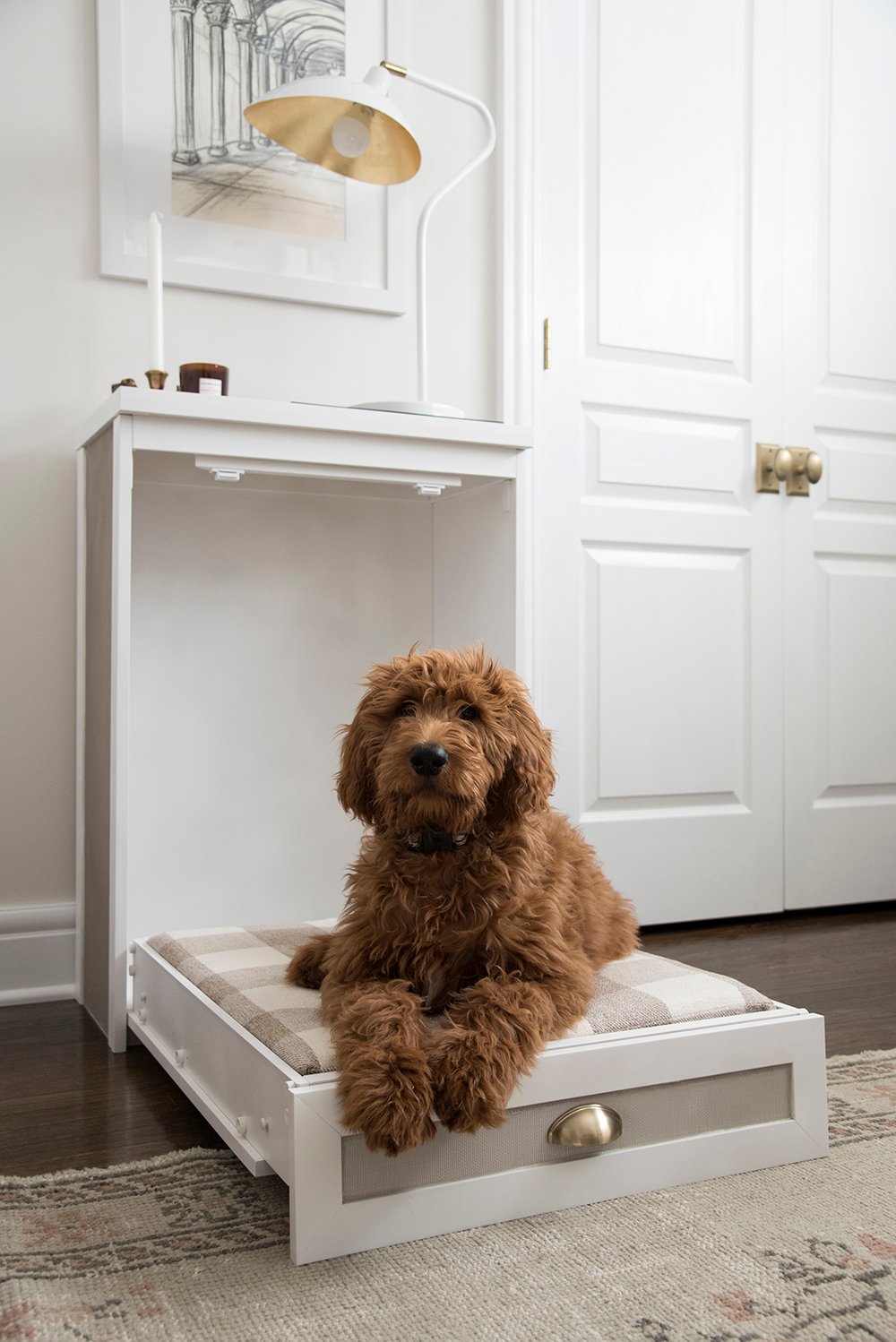 Murphy Dog Bed DIY - roomfortuesday.com