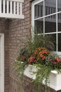 Another Fall Window Planter Box
