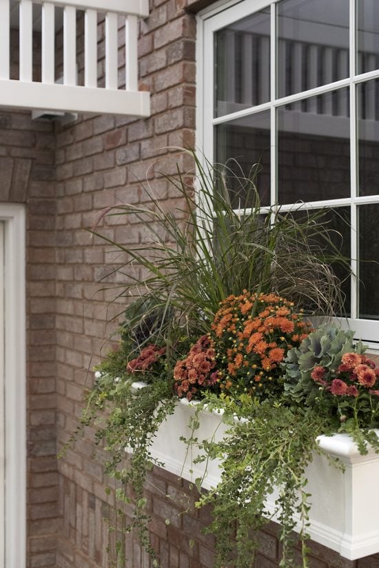 Fall Window Pot Another Fall Window Planter Box - Room for Tuesday