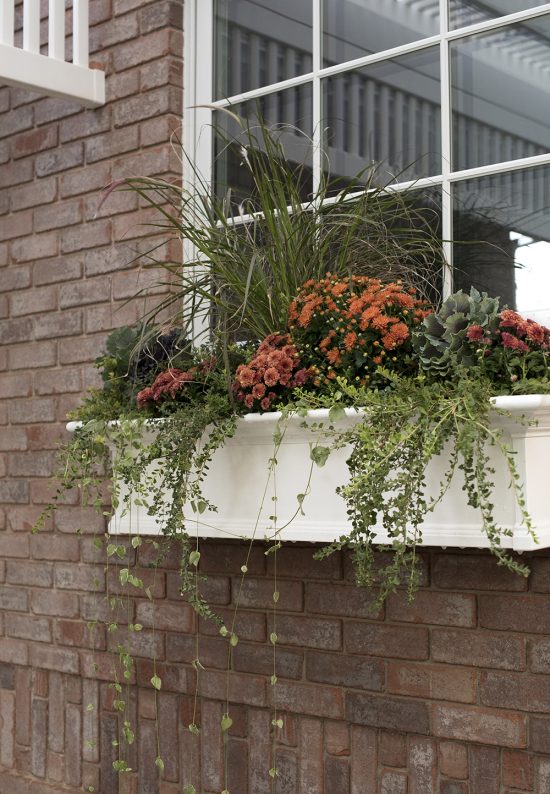 Fall Window Pot Another Fall Window Planter Box - Room for Tuesday