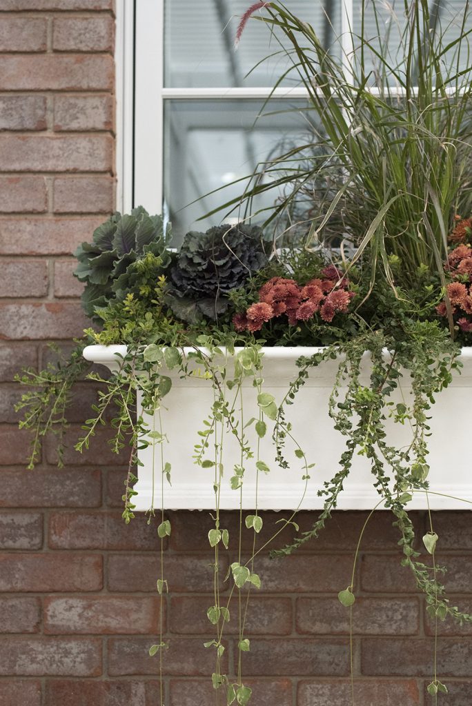 Fall Window Pot Another Fall Window Planter Box - Room for Tuesday