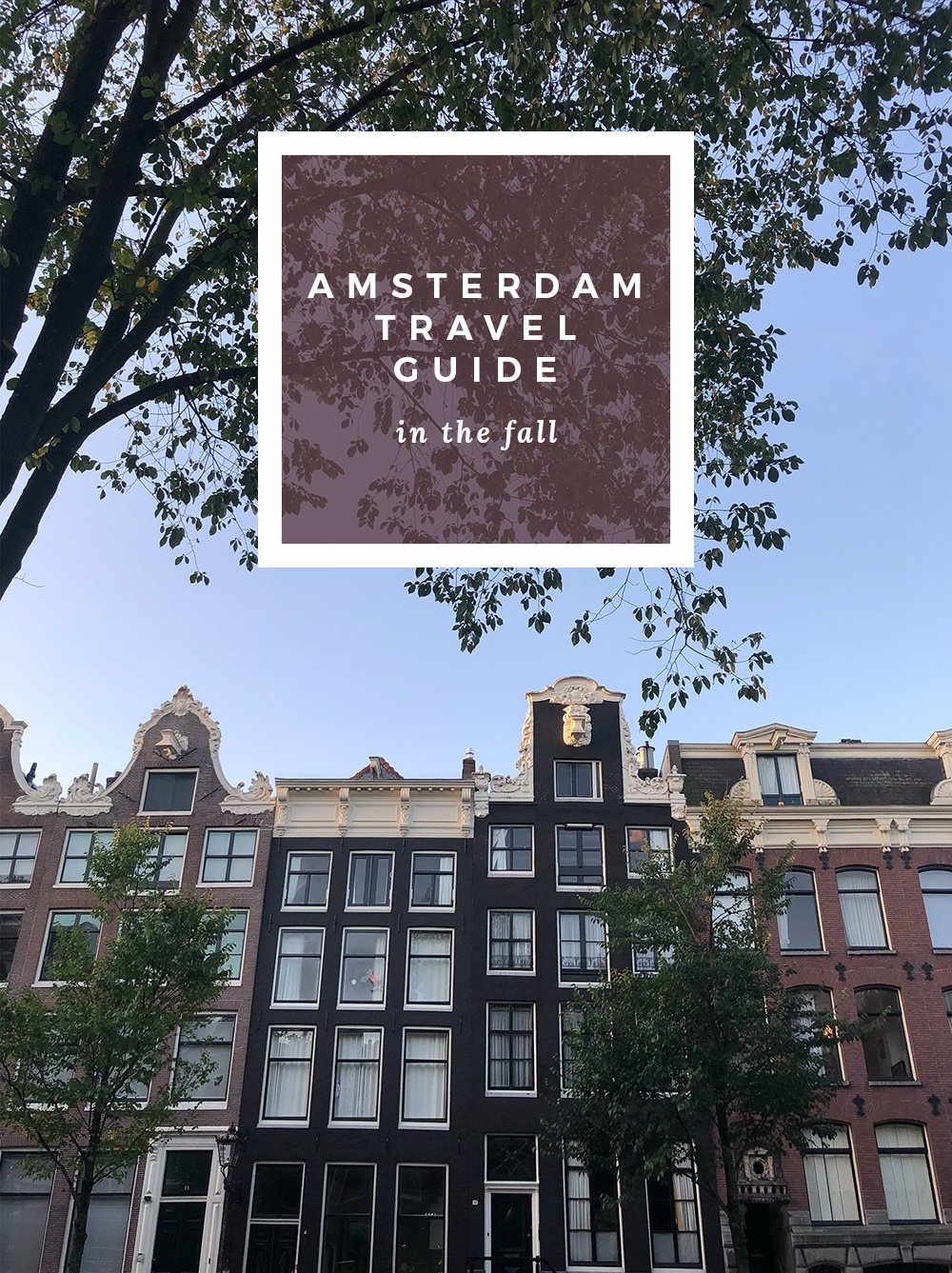 Amsterdam Travel Guide - roomfortuesday.com