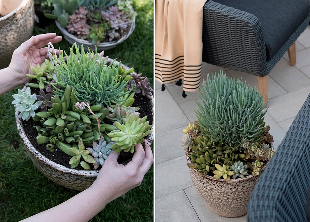Roundup : Large Outdoor Planters - roomfortuesday.com