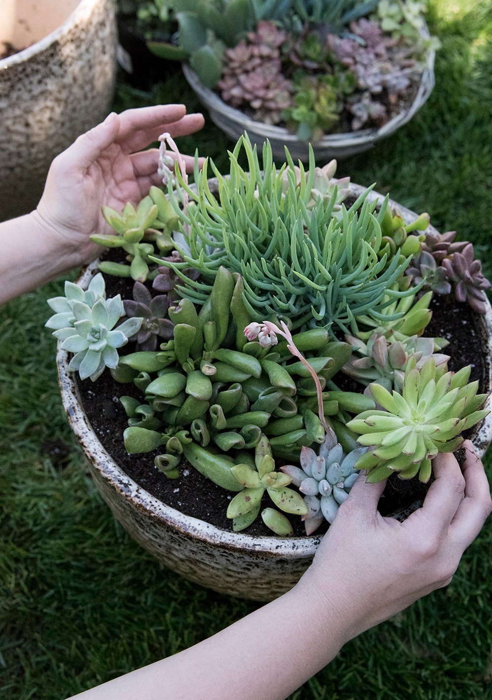 10 Posts for Those Who Love Plants & Gardening - roomfortuesday.com