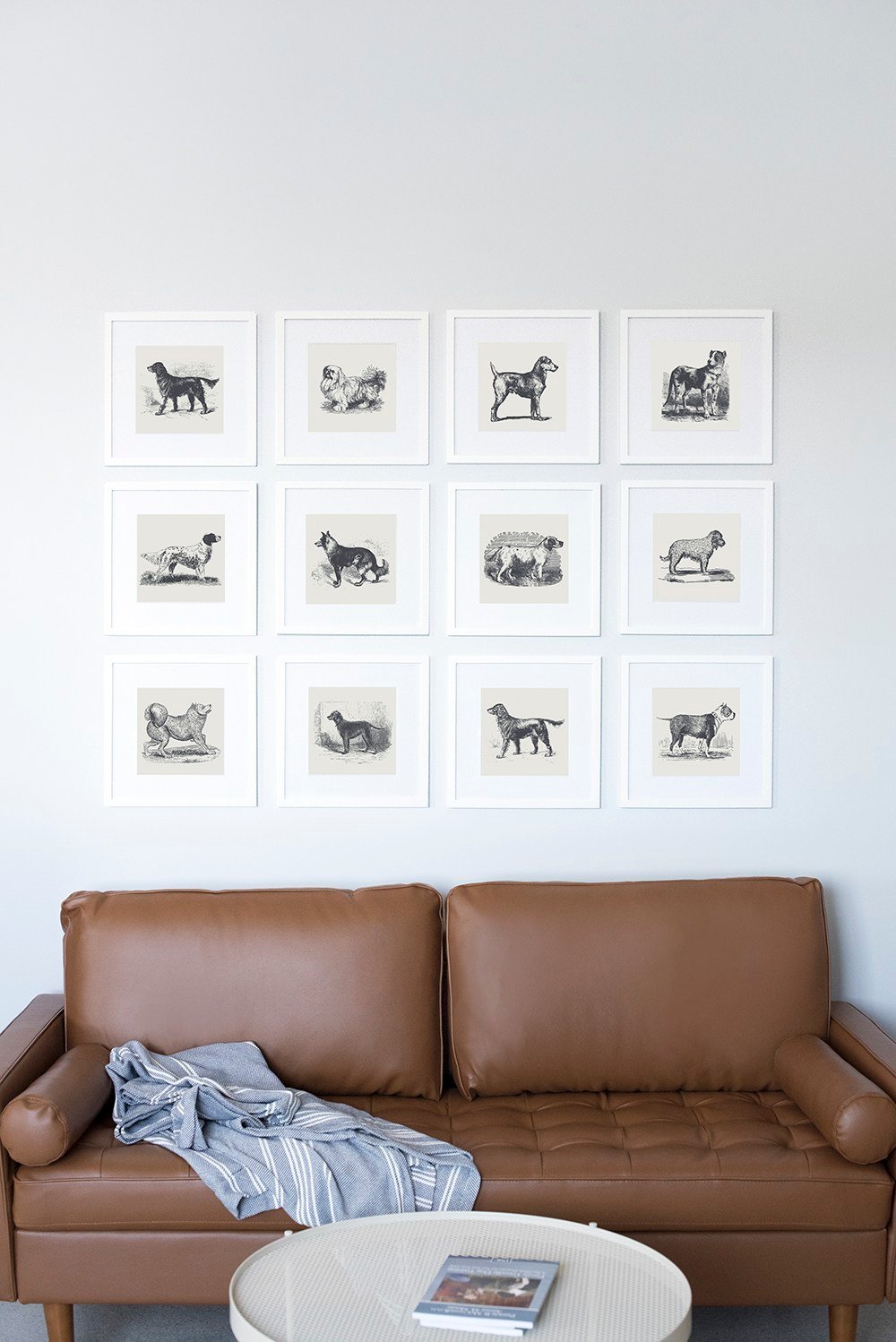 10 Dog Posts for Pet Lovers - roomfortuesday.com