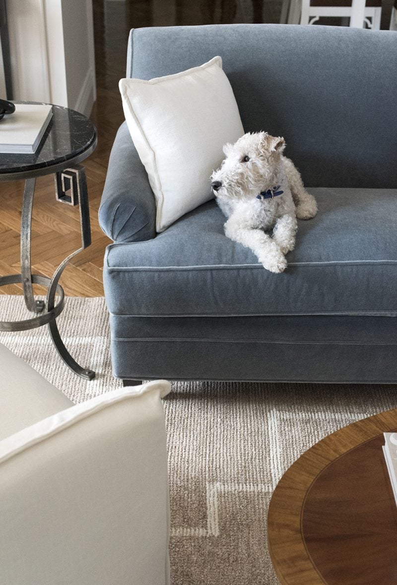 Family & Pet Friendly Sofas - Room for Tuesday Blog