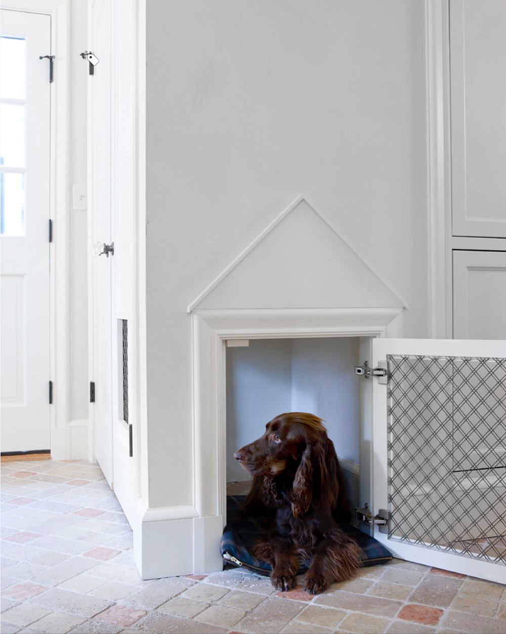 10 Smart & Creative Ideas for Homes with Dogs - roomfortuesday.com