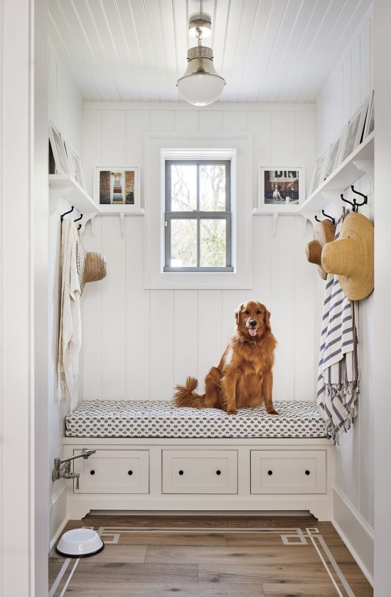 10 Smart & Creative Ideas for Homes with Dogs - Room for Tuesday