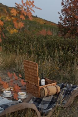 Date Night : Fall Mountain Picnic - Room for Tuesday
