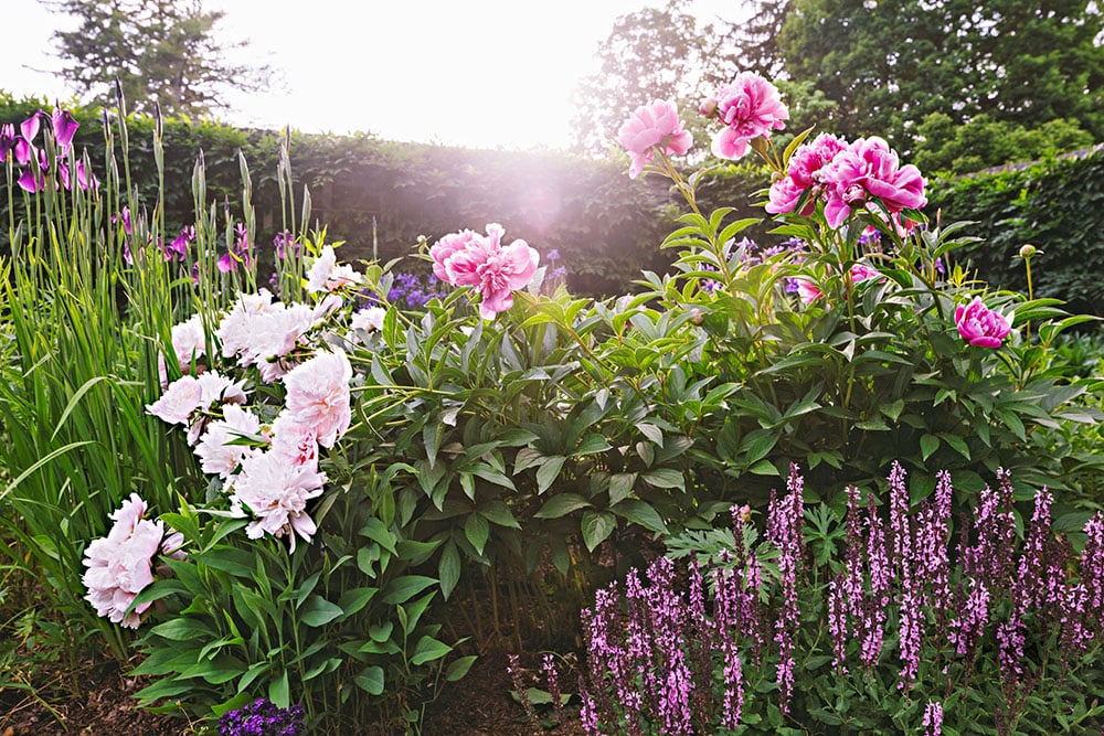 Favorite Garden Inspiration-roomfortuesday.com