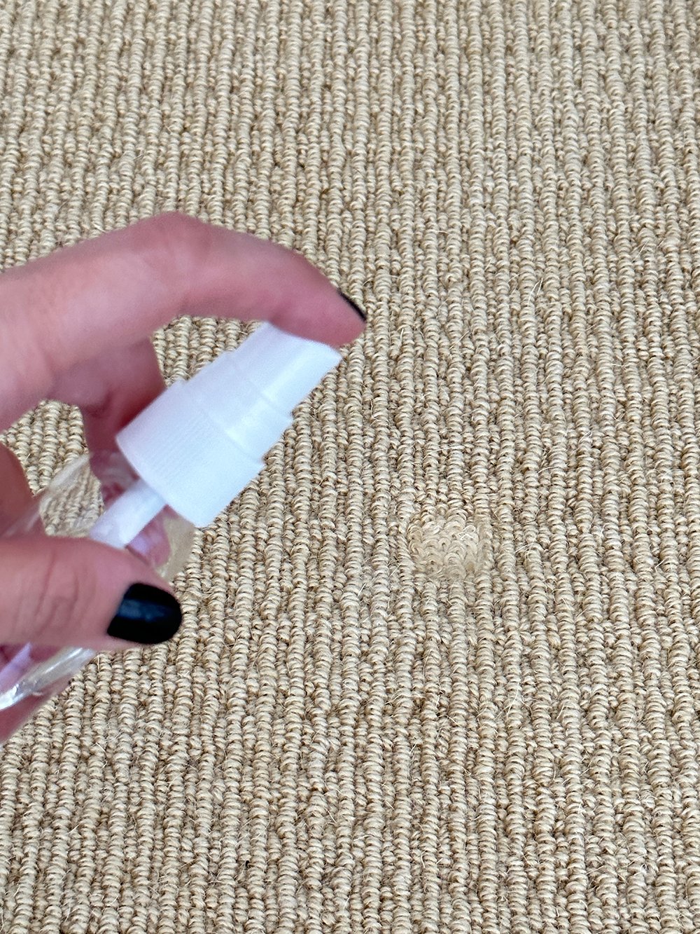 How to Remove Furniture Indentations from Carpet - roomfortuesday.com