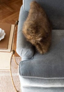 DIY Faux Fur Lumbar Pillow - roomfortuesday.com