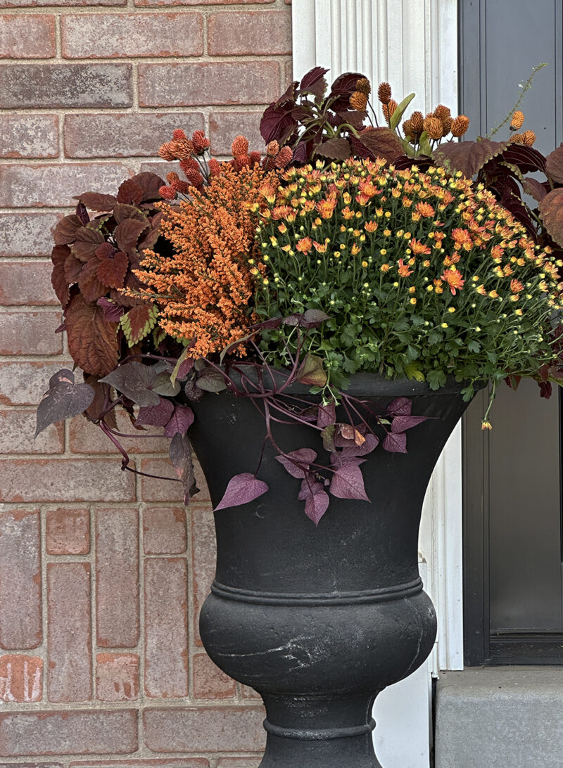 How to Create Beautiful Porch Planters for Fall - Room for Tuesday