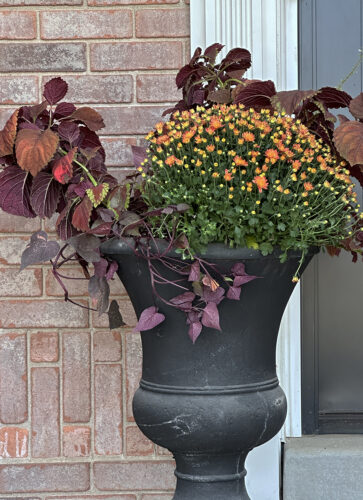 How to Create Beautiful Porch Planters for Fall - Room for Tuesday