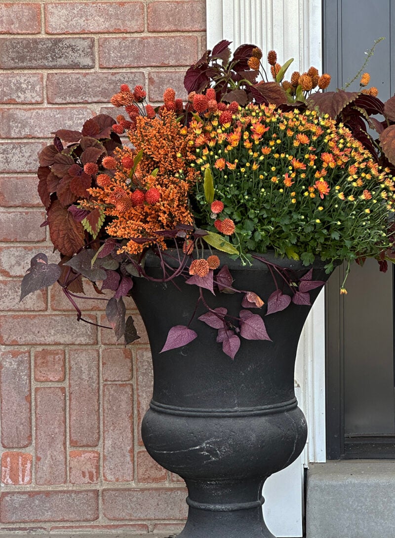 How to Create Beautiful Porch Planters for Fall - Room for Tuesday