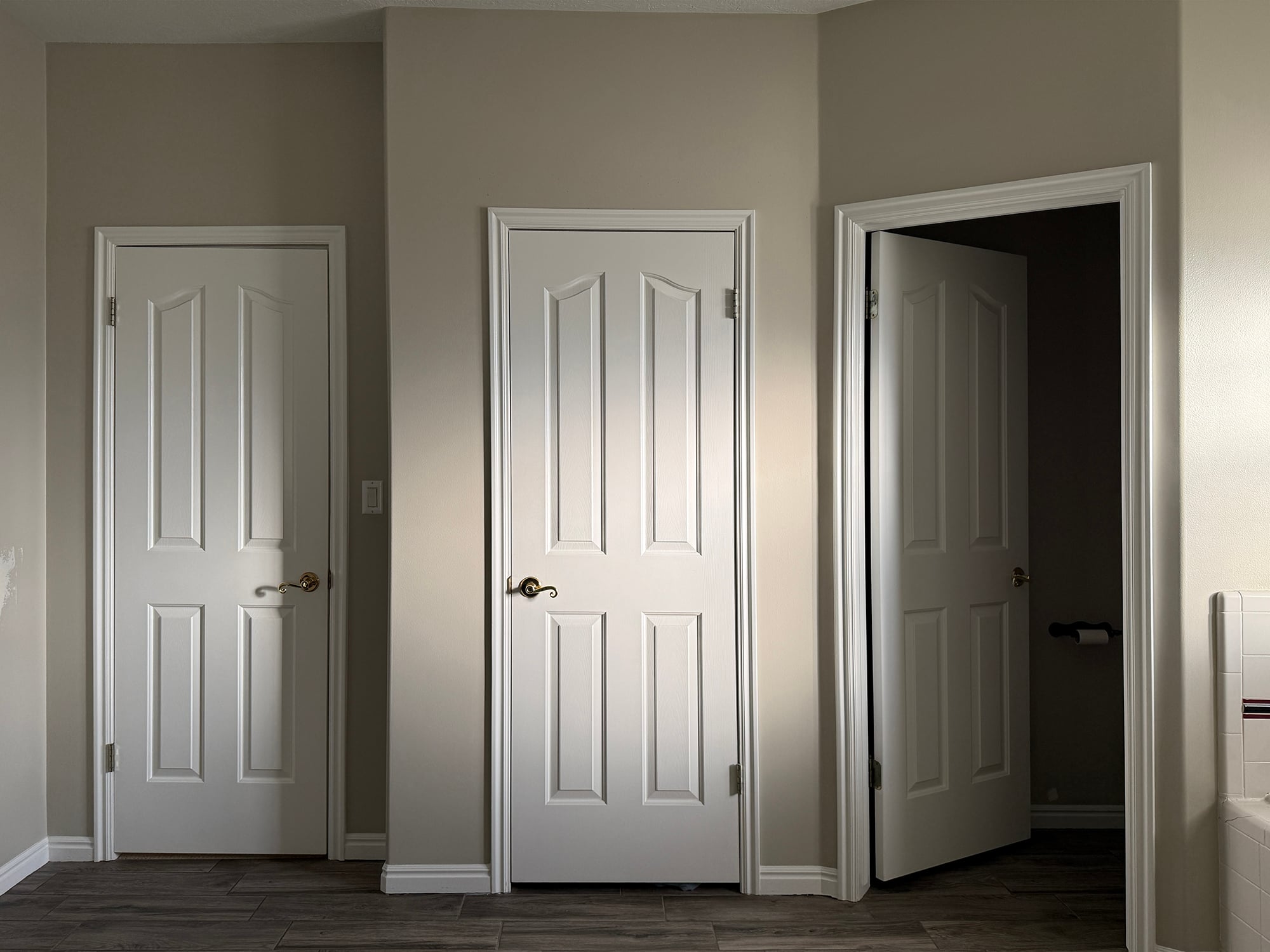 Bathroom Doors Before Renovation