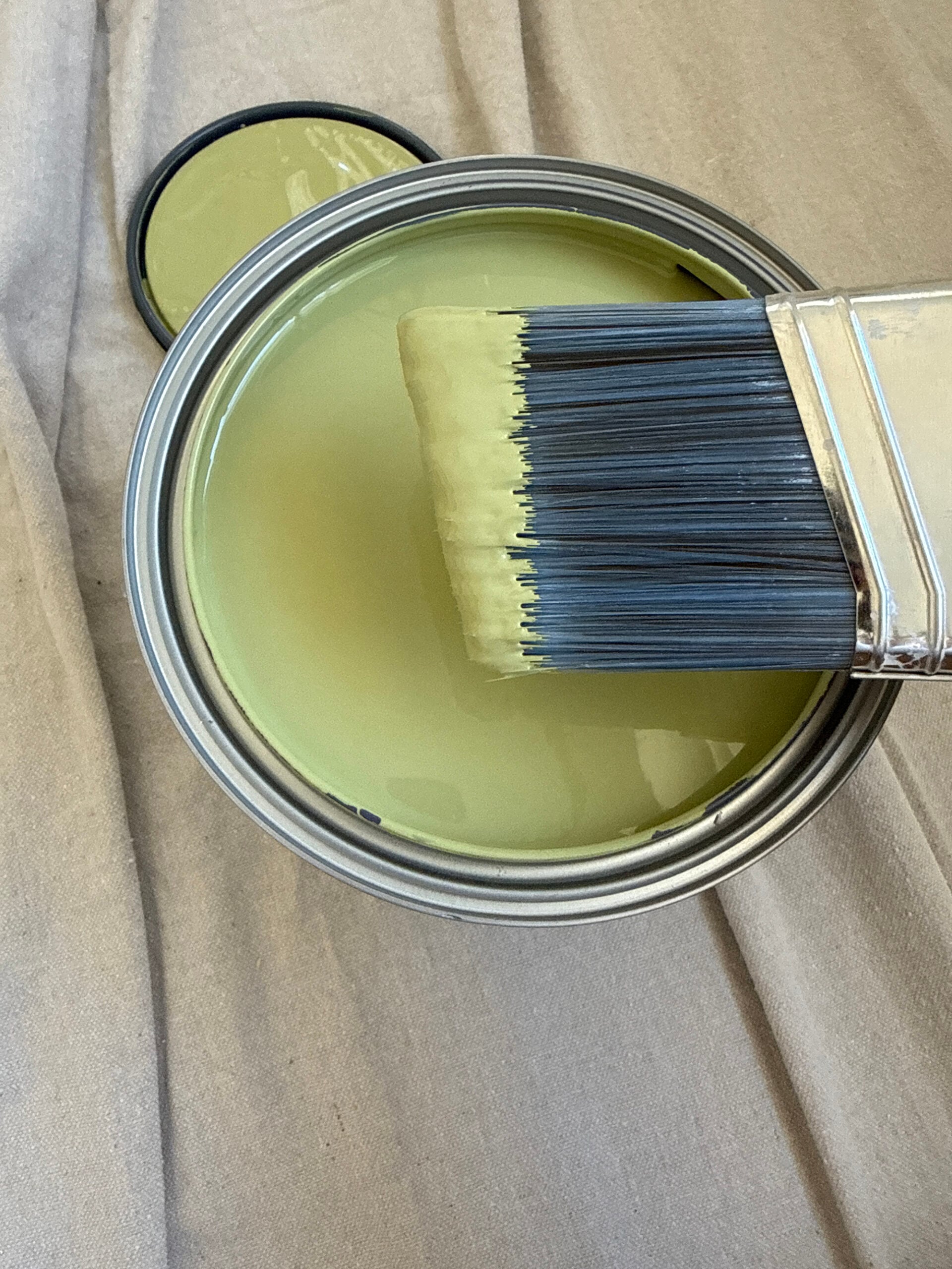 Lemon Verbena Green Paint by Sherwin Williams
