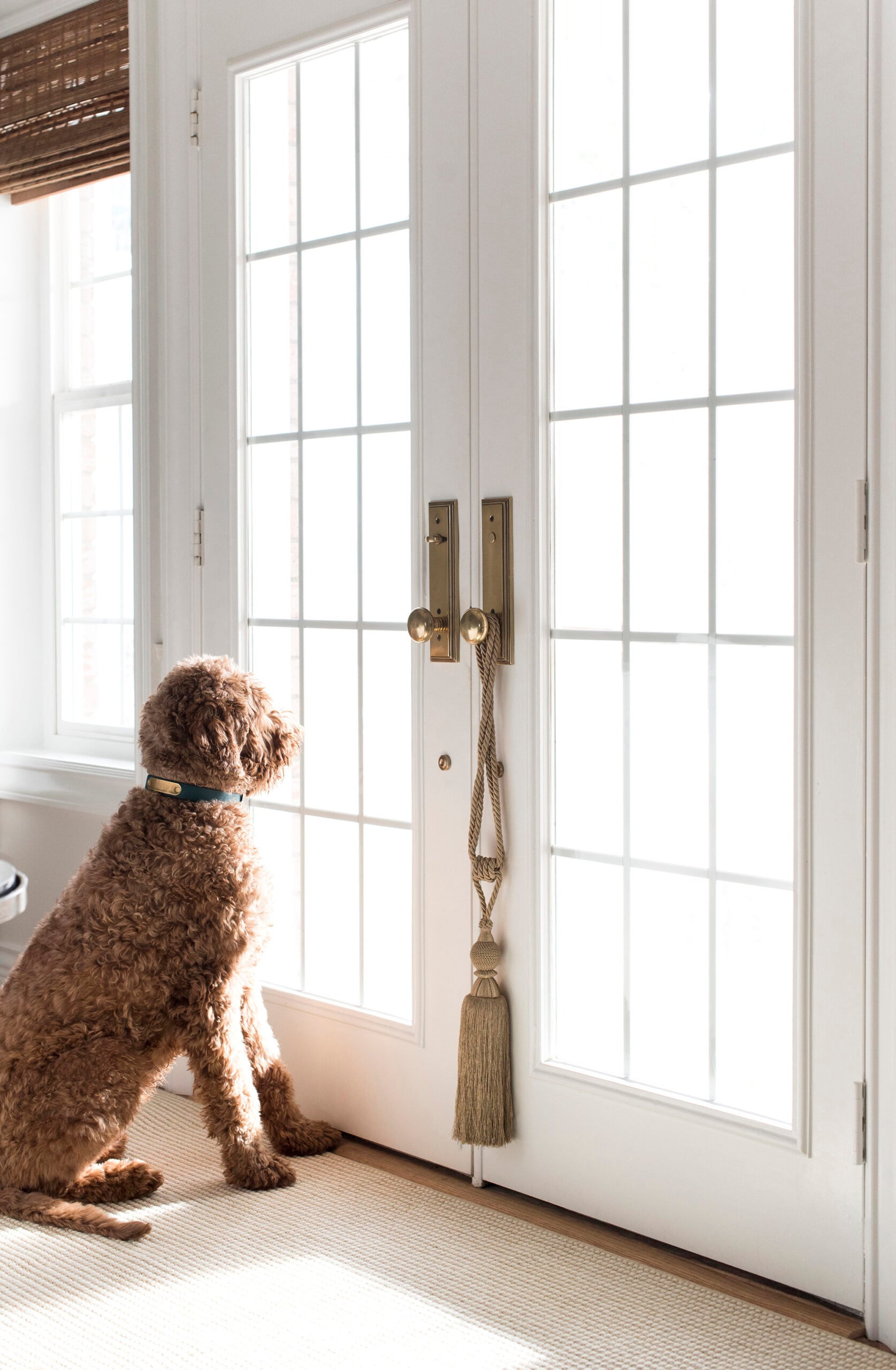Natural Woven Area Rugs and Runners
