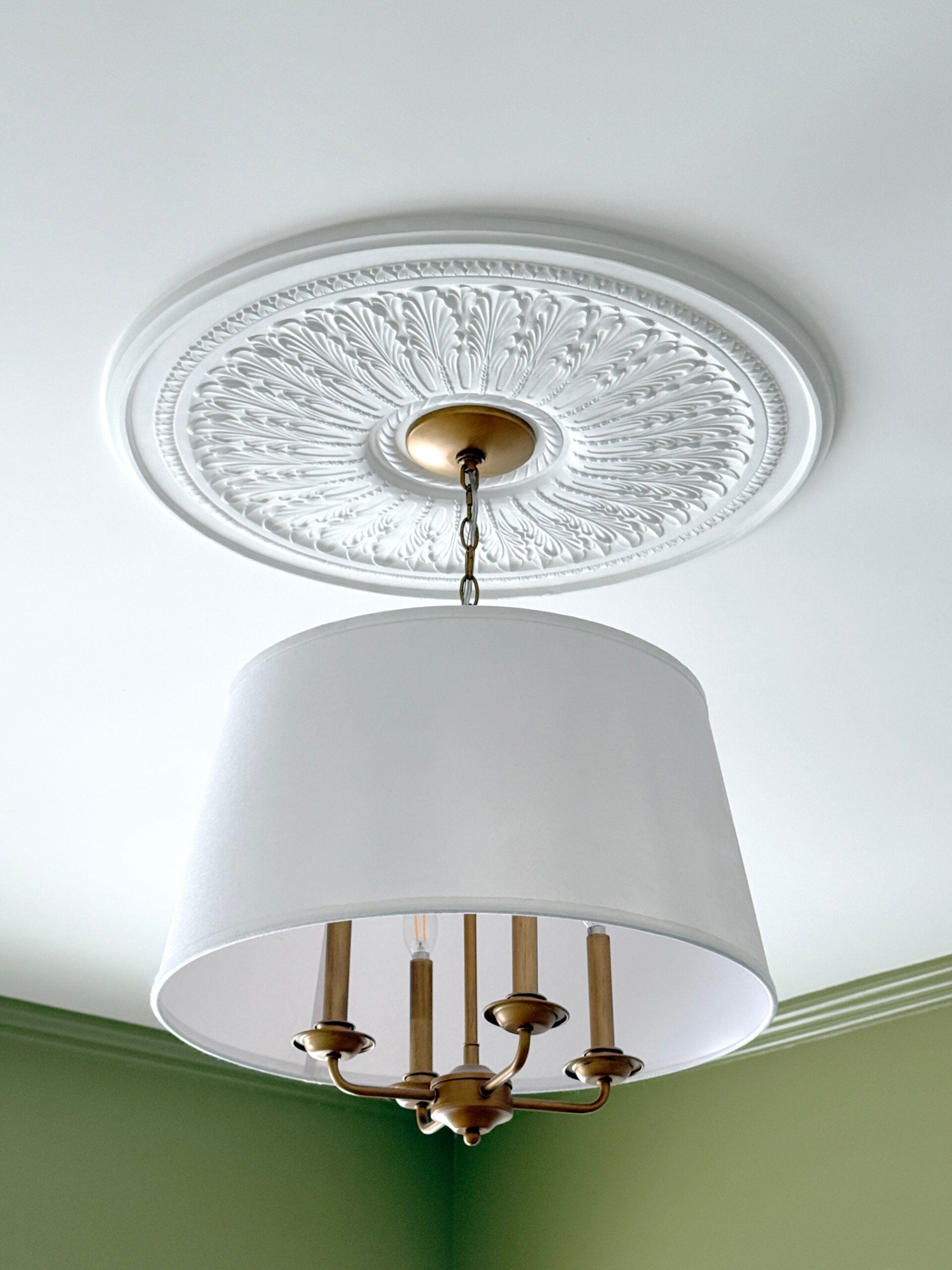 Pedant Light with Ceiling Medallion
