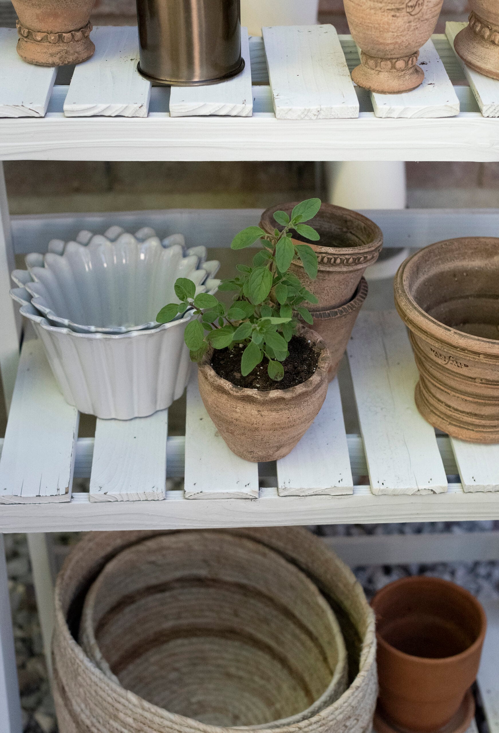 Cute Tiered Herb Garden with Terracotta Planters