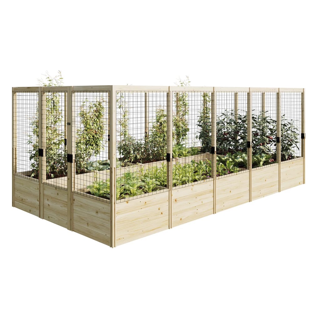 Raised Garden Beds