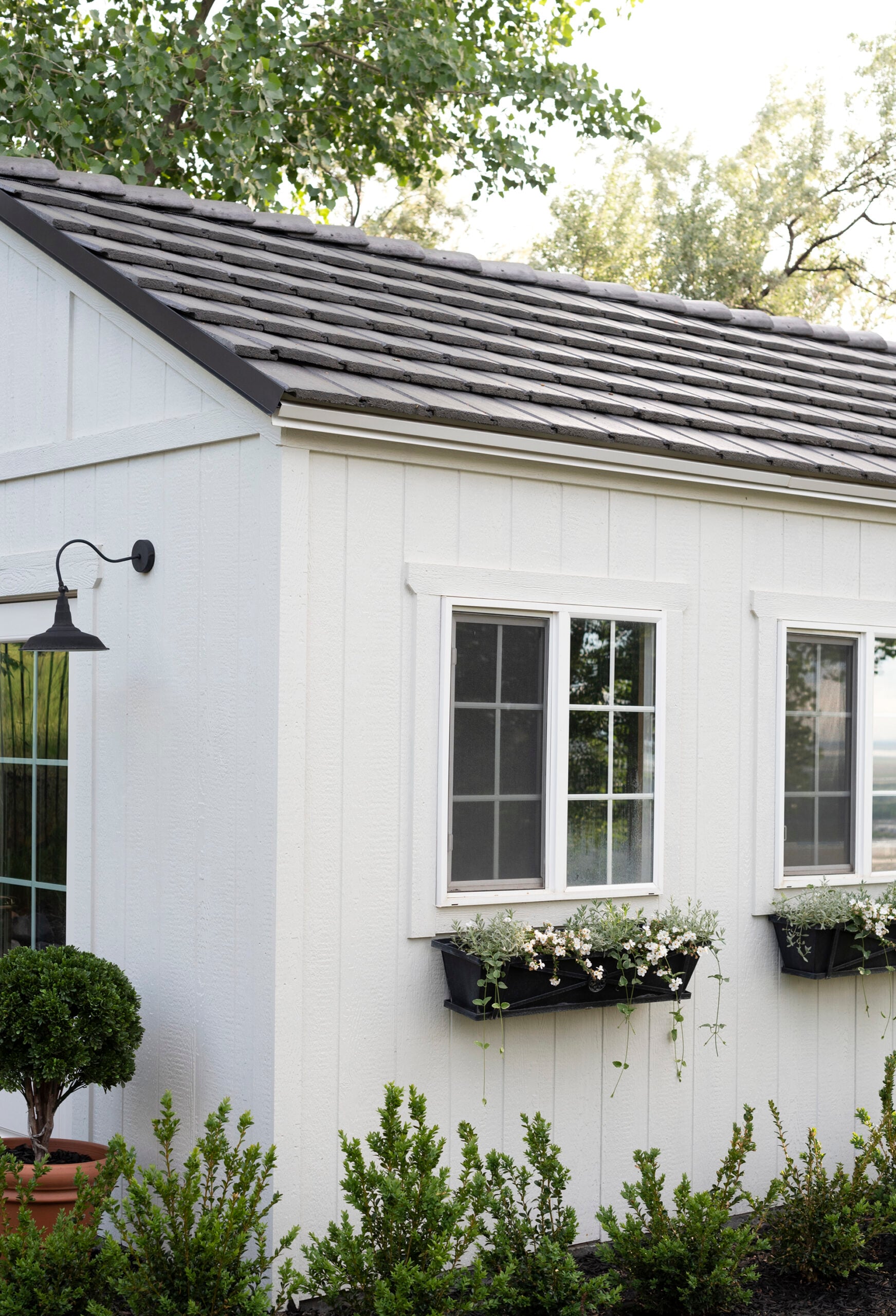 Spring Shed with Window Boxes
