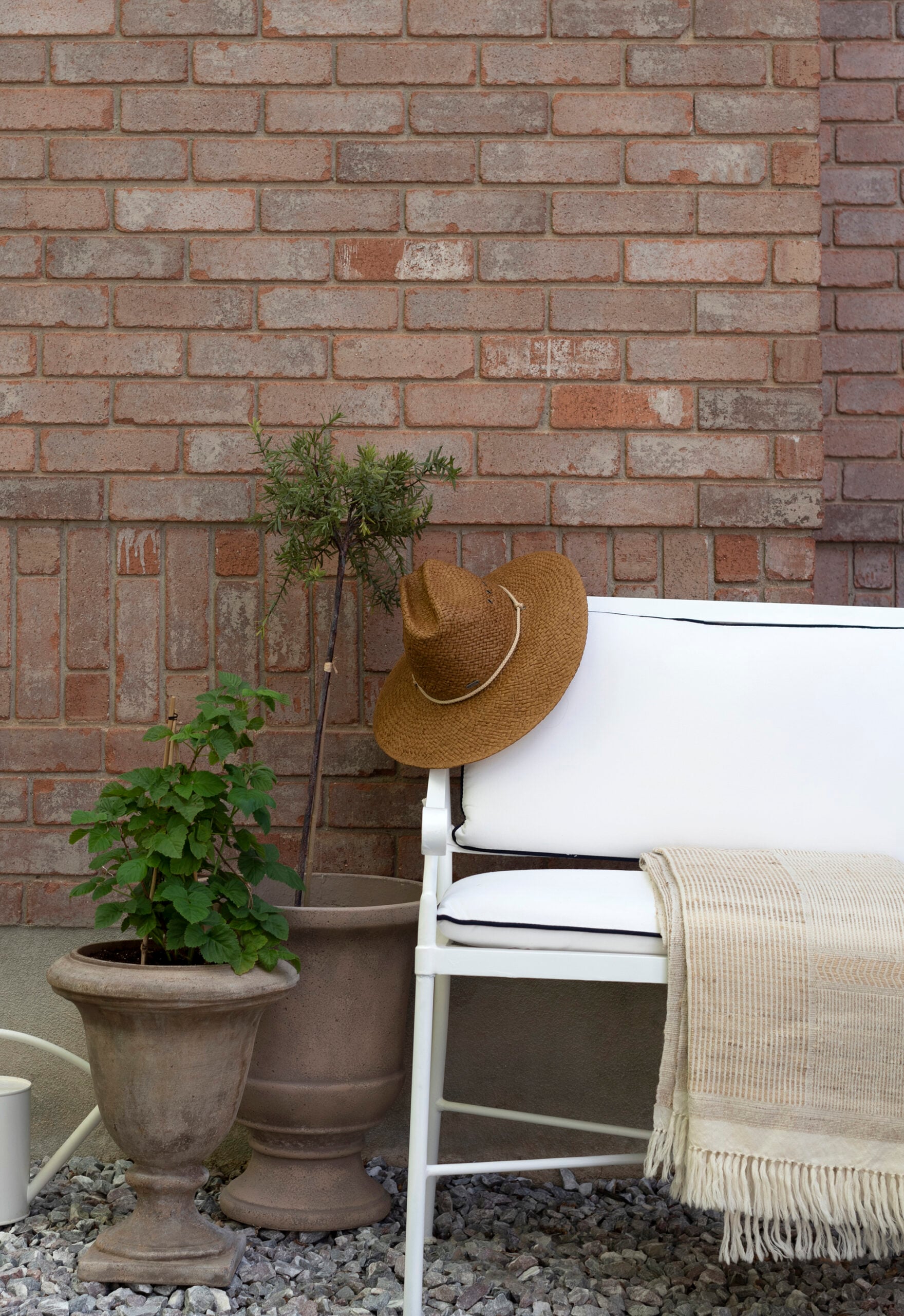 Two Terracotta Planters with Topiary and Garden Bench