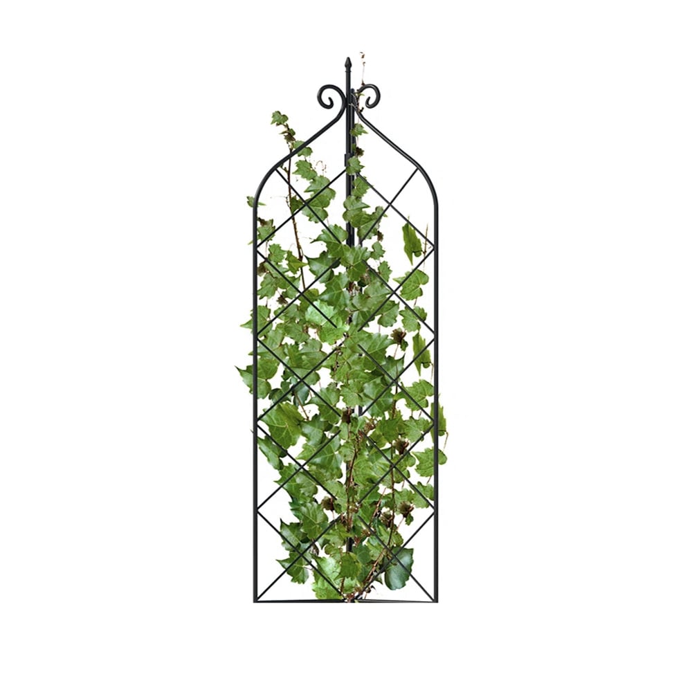 Garden Trellis for Privacy