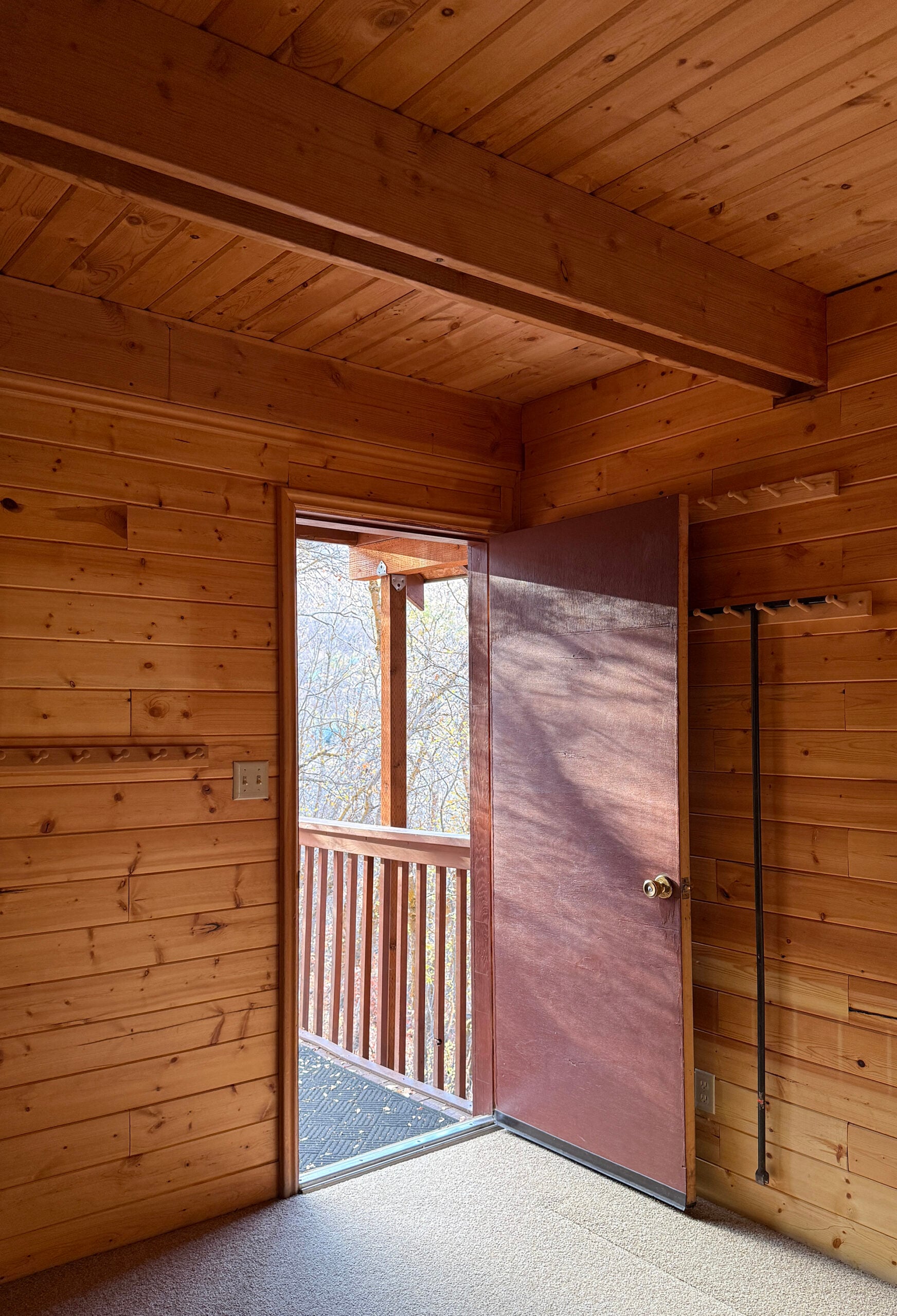 Cabin Front Door and Mudroom BEFORE image