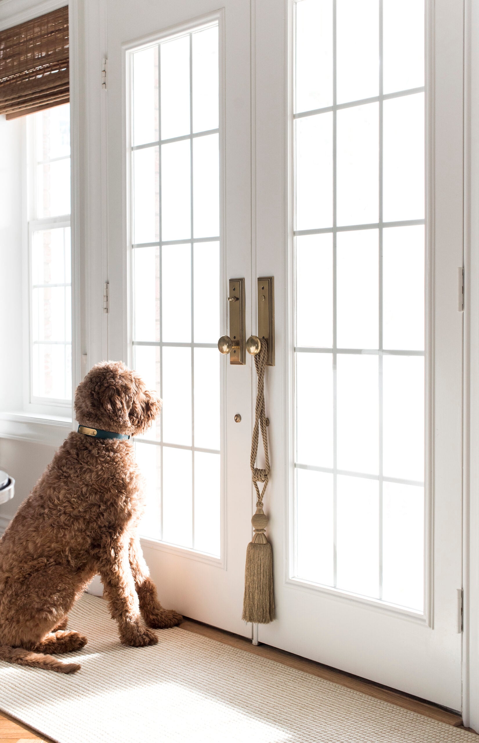 How to Choose the Best Wool Rug