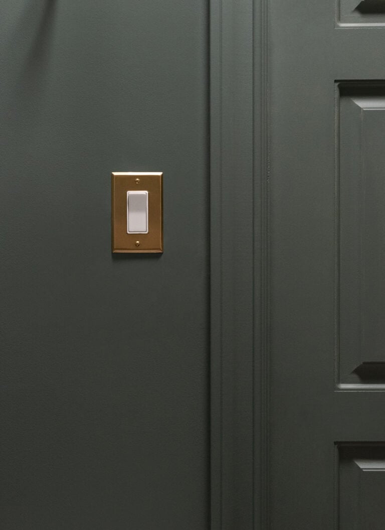 Brass Light Switch Plate in Green Walk-In Closet