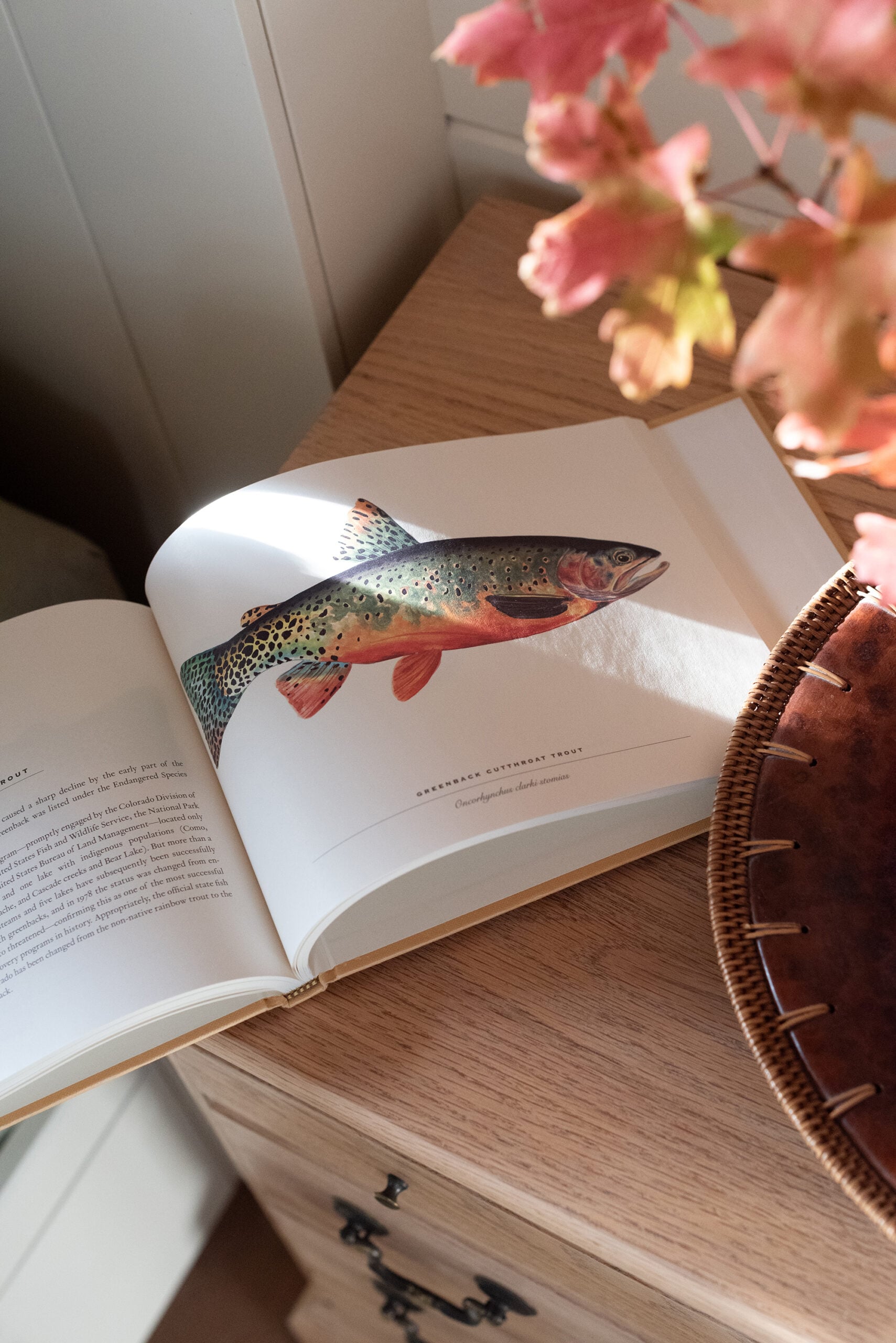 Cutthroat Trout Book in Cabin Bedroom